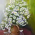 Maria Roszkowska - A bouquet of daisies in jug