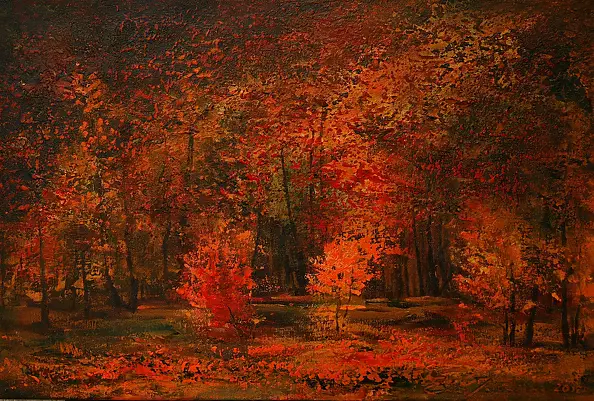 Ewa Jabłońska - Bukowy las