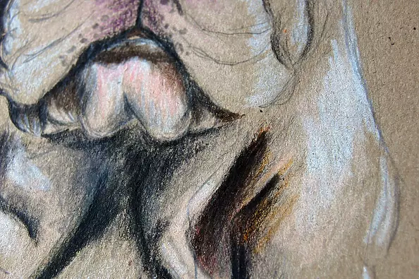 Amelia Augustyn - Buldog