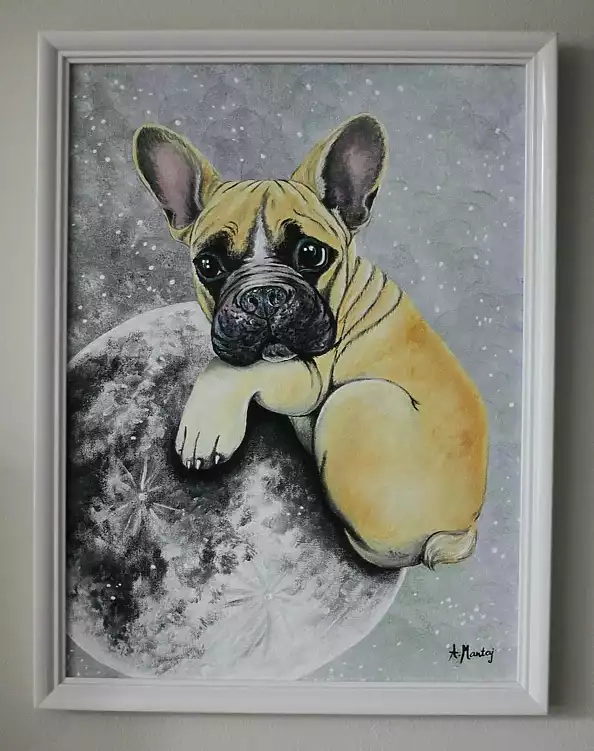 Agnieszka Mantaj - Bulldog and the moon