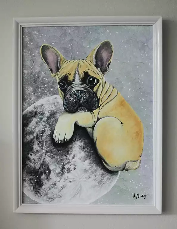 Agnieszka Mantaj - Bulldog and the moon