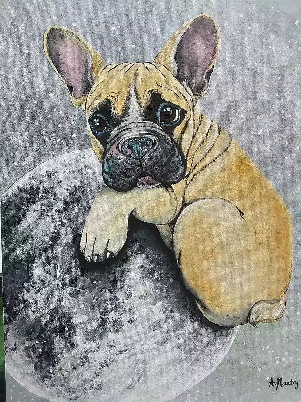 Agnieszka Mantaj - Bulldog and the moon