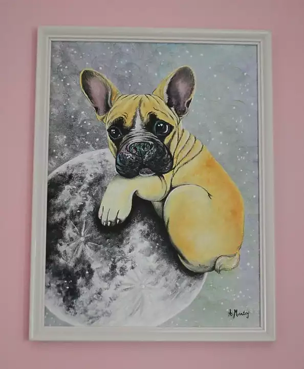 Agnieszka Mantaj - Bulldog and the moon