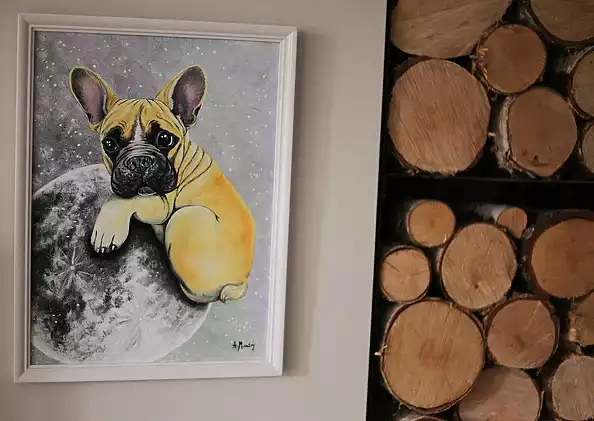 Agnieszka Mantaj - Bulldog and the moon