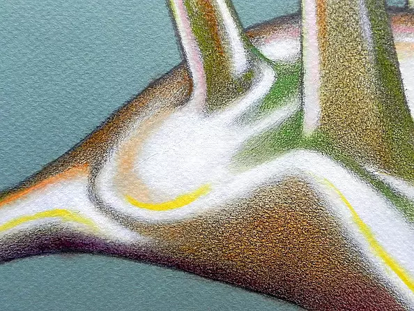 federico cortese - Bunsen