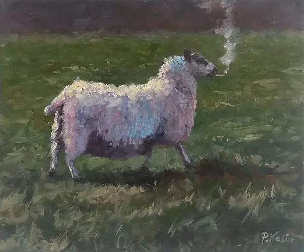 Paweł Kosior - Lockdown rebel