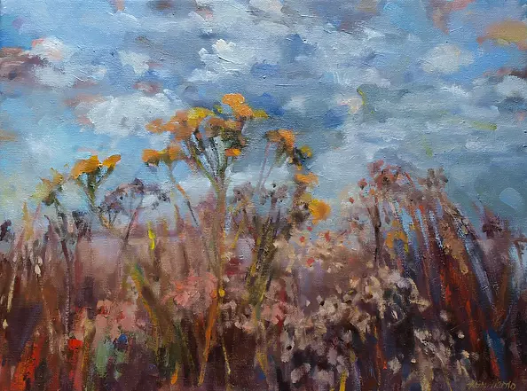 Agnieszka Nizegorodcew - storm