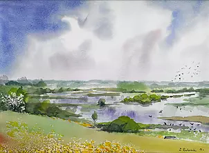 Zdzisław Rutkowski - Burzyn n.Biebrzą w maju