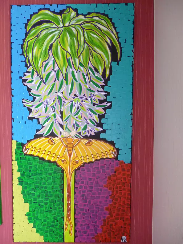 Marianna Małgorzata Bakanowicz - Butterfly Comet Madagascar-2013