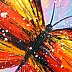 Olha Darchuk - Butterfly Elegance