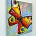 Olha Darchuk - Butterfly Elegance