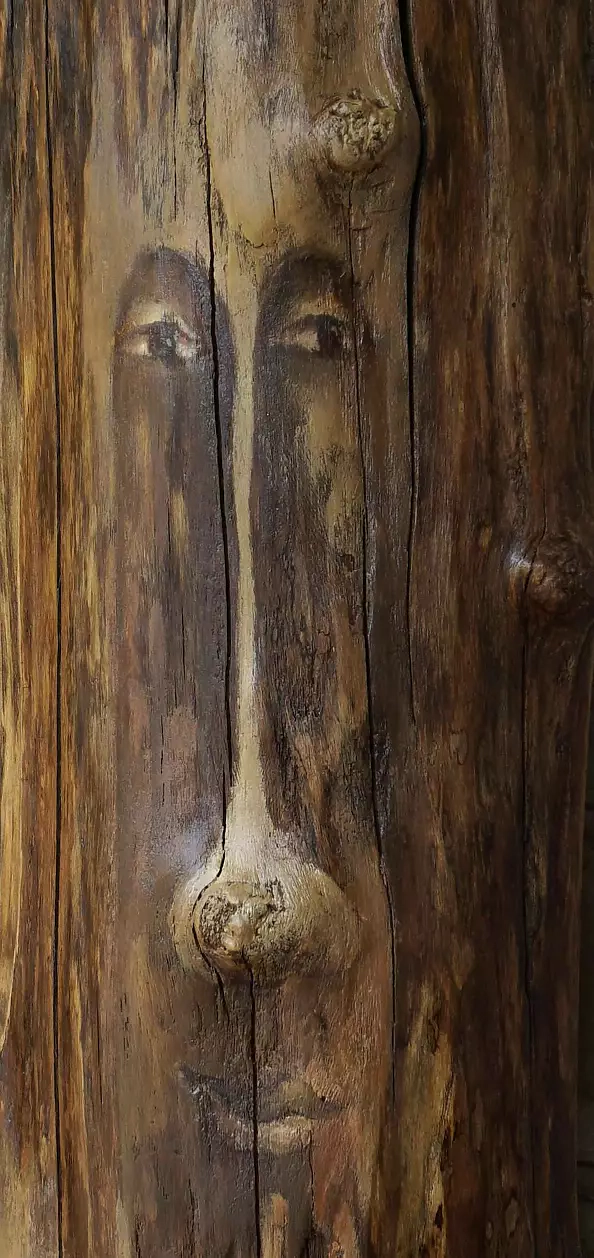 Krzysztof Łozowski - There was a tree