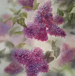 Lidia Olbrycht - Lillà