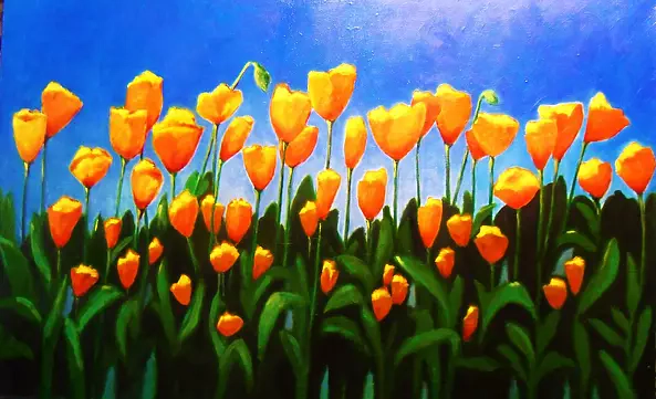 Zenon Różycki - CALIFORNIA POPPIES