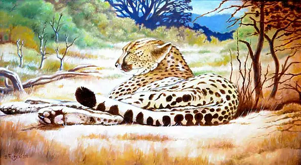 Zenon Różycki - CHEETAH