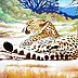 Zenon Różycki - CHEETAH
