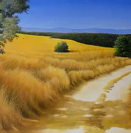 Pier Luigi Parnisari - COLLINE TOSCANE