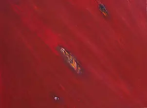 Lech Bider - CRIMSON_7