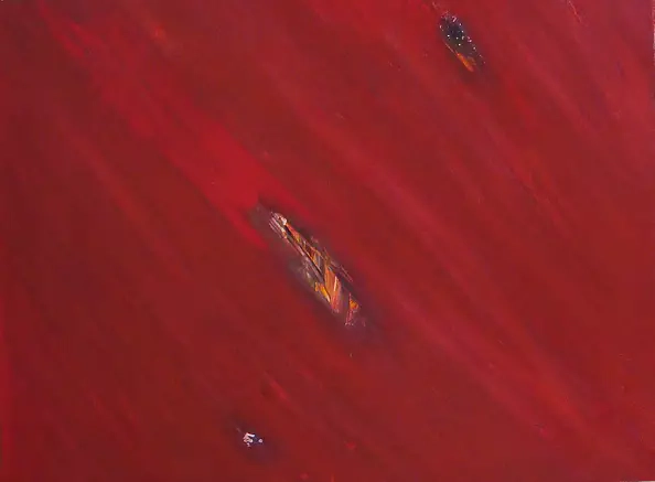 Lech Bider - CRIMSON_7