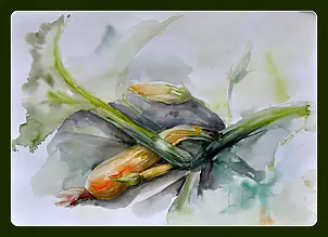 Beata Van Wijngaarden - zucchini