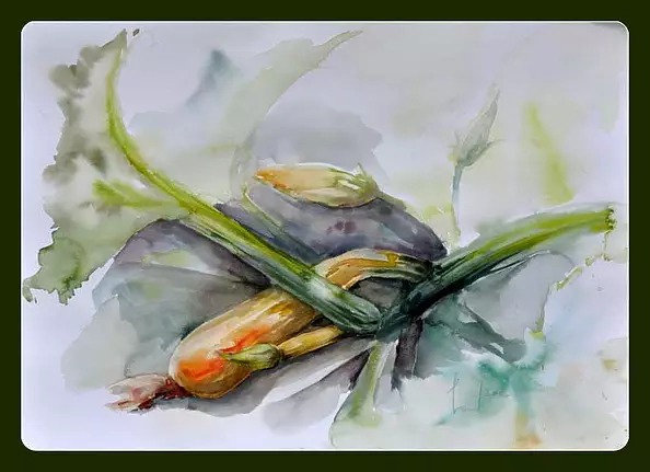 Beata Van Wijngaarden - zucchini