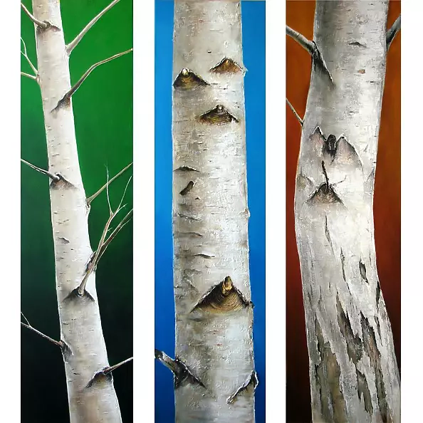 Anita Kałuża - CYCLE BIRCH