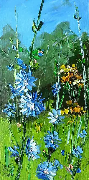 Dorota Łaz - Chicory