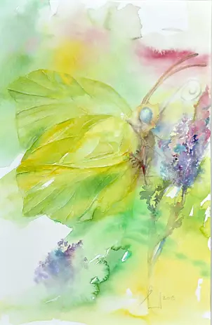 Beata Van Wijngaarden - brimstone