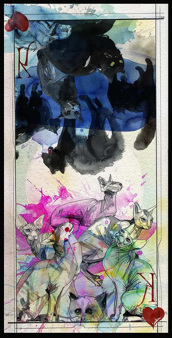 Rafał Roskowiński - BLACK CAT, WHITE CAT