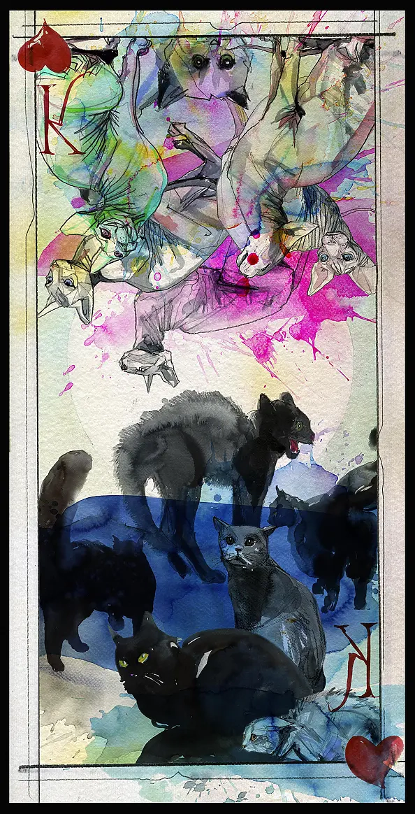 Rafał Roskowiński - BLACK CAT, WHITE CAT