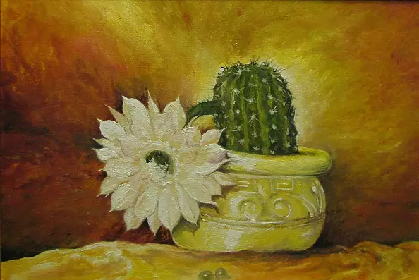 Tomasz Jaxa Kwiatkowski - blooming cactus