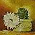 Tomasz Jaxa Kwiatkowski - cactus di fioritura