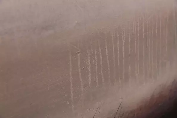 Łukasz Olek - California Soil