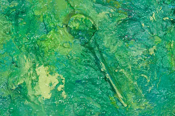 Pamela Rys - Callirrhoe