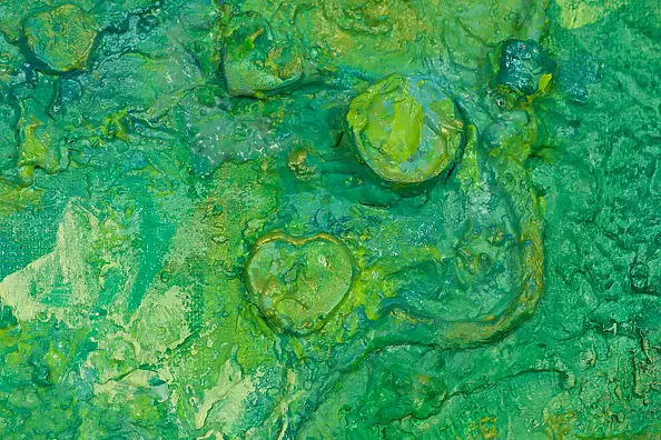 Pamela Rys - Callirrhoe