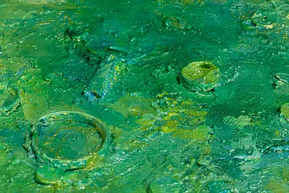 Pamela Rys - Callirrhoe