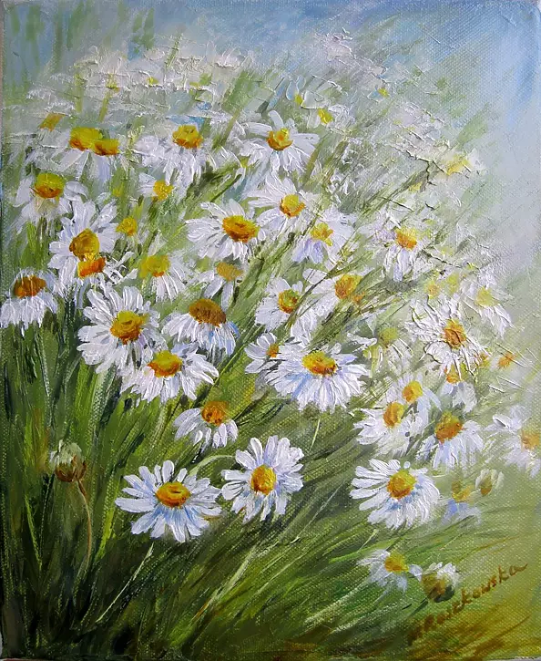 Maria Roszkowska - camomile