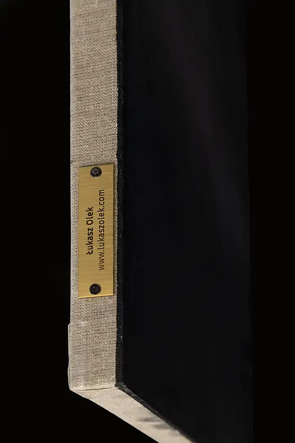 Łukasz Olek, Can't Take Me Home, Obraz akrylowy - płótno, 60 x 73