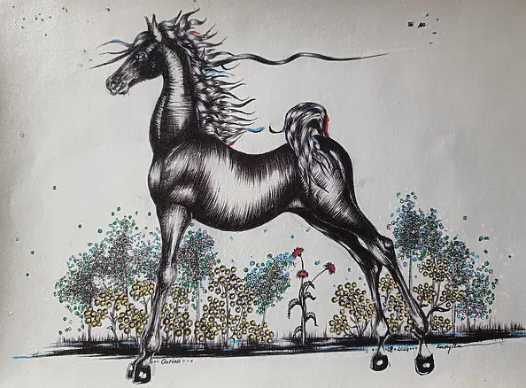 Anna Zarzycka - Carino