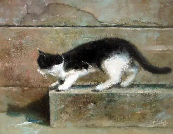Piotr Pilawa - cat II