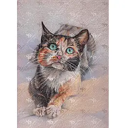 Jowita Szmigiero, Кошка с Azure Eyes, Пастель - папір, 21 x 29