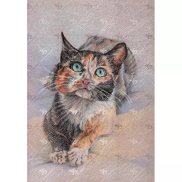 Jowita Szmigiero - Cat With Azure Eyes