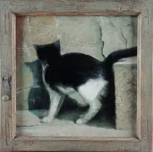 Piotr Pilawa - Cat in the frame