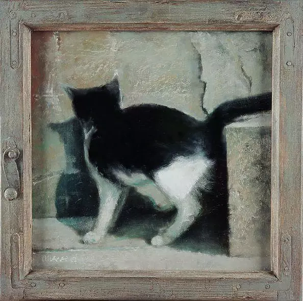 Piotr Pilawa - Cat in the frame