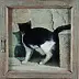 Piotr Pilawa - Cat in the frame