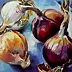 Barbara Gulbinowicz - Onions straight from the field