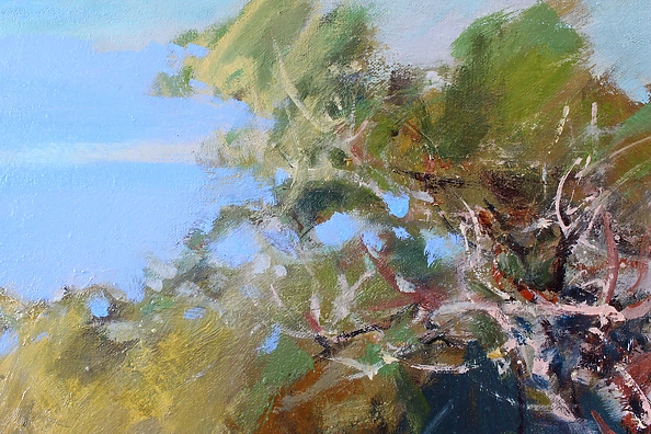 Henadzy Havartsou - Mediterranean cedars