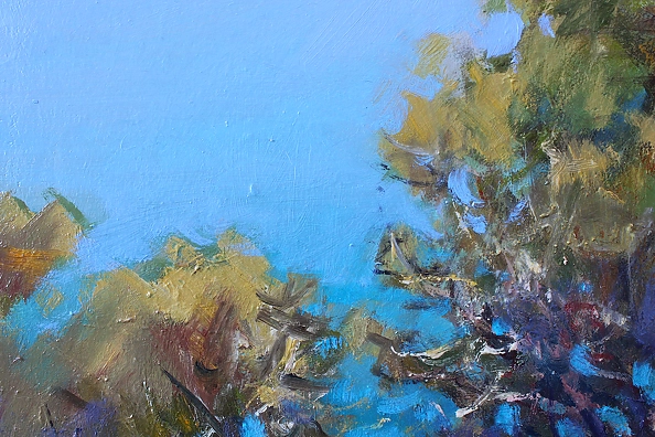 Henadzy Havartsou - Mediterranean cedars