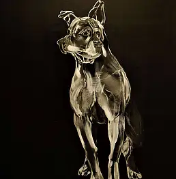 Magdalena Siejko-Pobiedzińska, опекун, Масляная картина, Акрилова картина - холст, 80 x 90