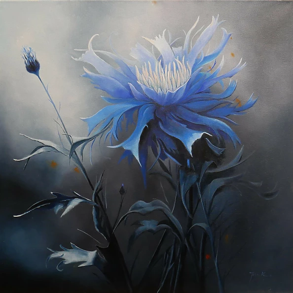 Jolanta Kitowska - Cornflower